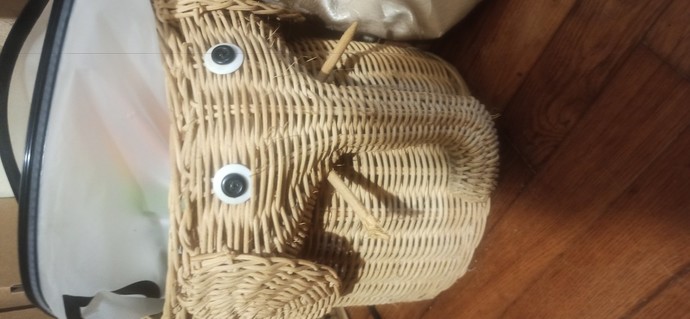 Do you use bags as trash bags or do you actually own a trashcan?