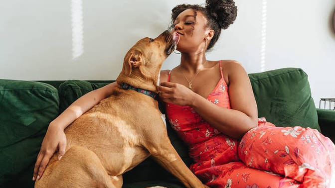 I’ve got a girlfriend I’ve been seeing for 3 months. 2 dogs and 2 kids. She is great without the two little dogs, but I can’t stand them, move on?