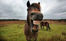 How do you laugh when you laugh?