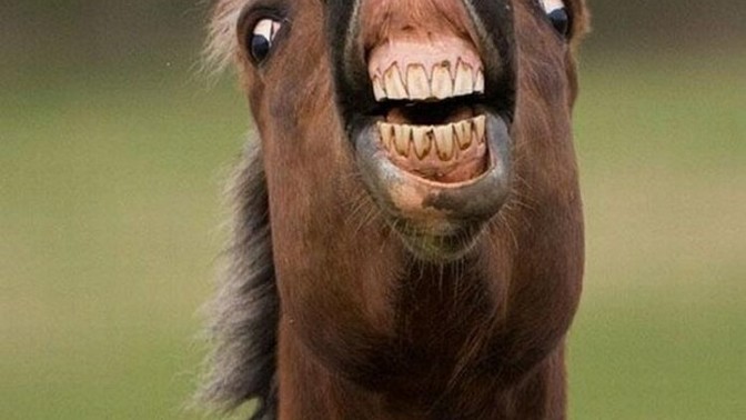 How do you laugh when you laugh?