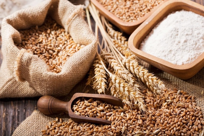 Which is worse gluten or high fructose corn syrup?