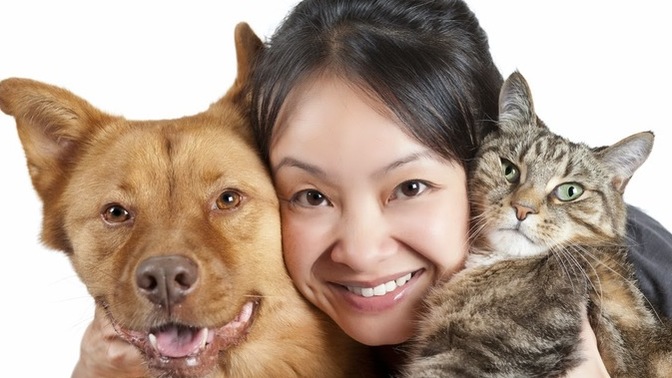 If you have pets, do you call yourself a "pet owner" or a "pet parent"?