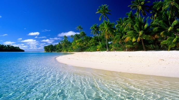 Which island would you most like to visit?