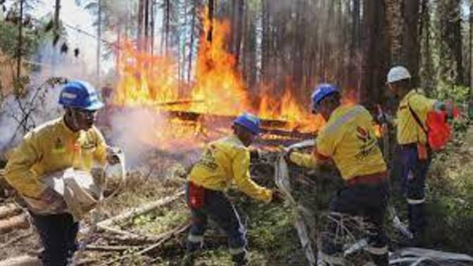 Fires From 2023, Smoldering Under Snow, Reveal Canada’s Dangerous New Reality?