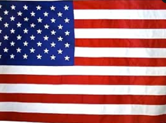 Did Louie Gomert give the right flag to this Jan 6 traitor?