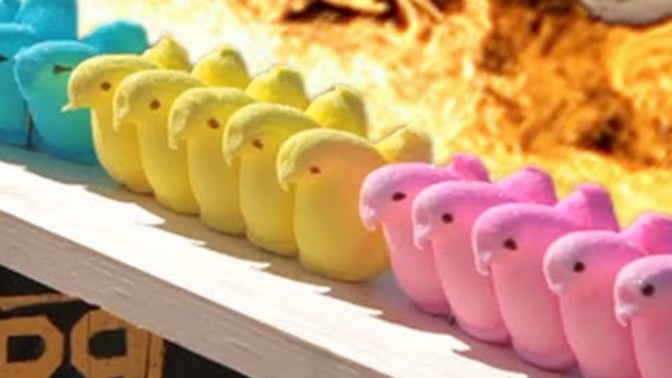 How many peeps will a.50 BMG go through?