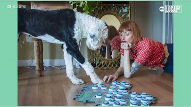 Have you heard of Bunny the talking dog?