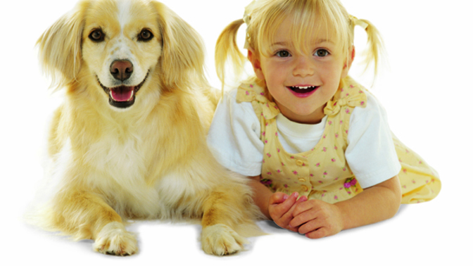 Which is better having a pet or having a child of your own?