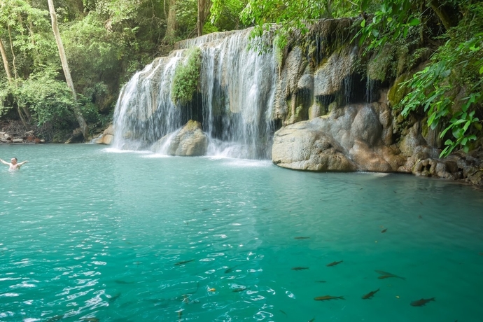 Which nature shot is more beautiful ?