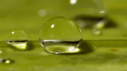 drink more water...