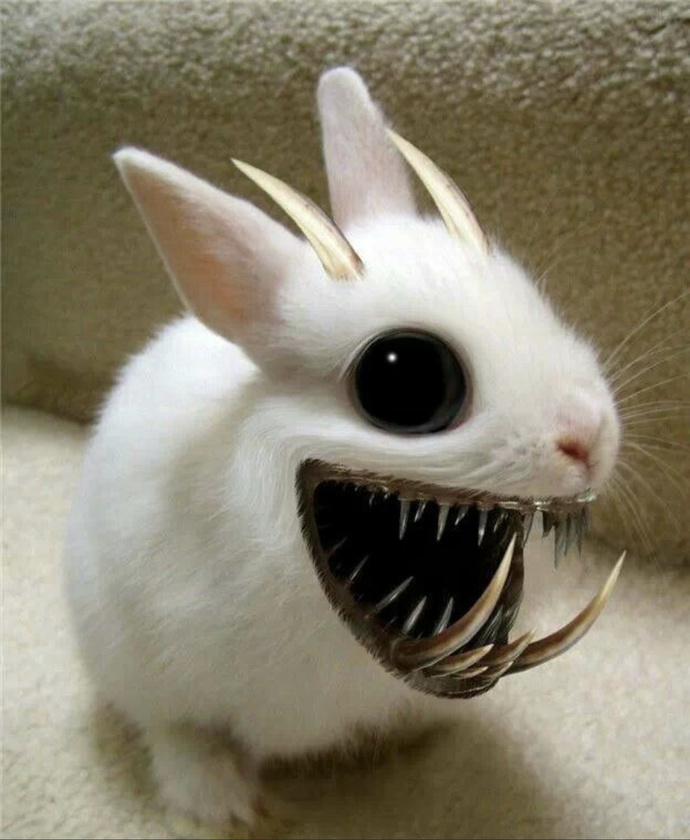 Do you trust the Easter bunny 🐰?