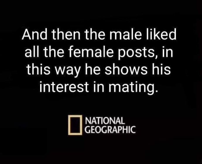 What does it mean if a guy that I work with likes all my pictures on instagram?