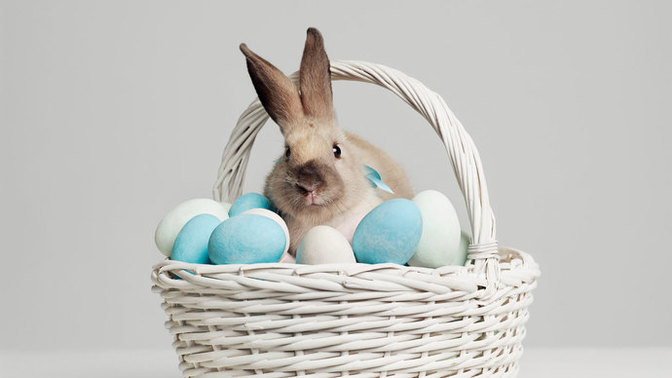 How’s everyone’s Easter going?