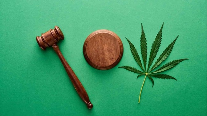 Is marijuana legal where you live?