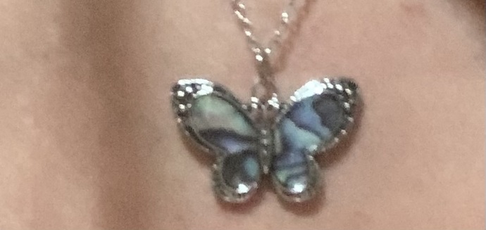 Which butterfly is prettier?