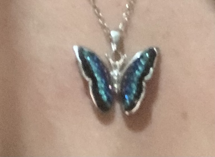 Which butterfly is prettier?