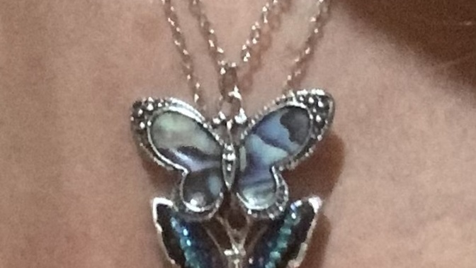 Which butterfly is prettier?