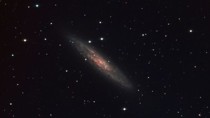 Do you like our new GAG category ('Outer Space')?