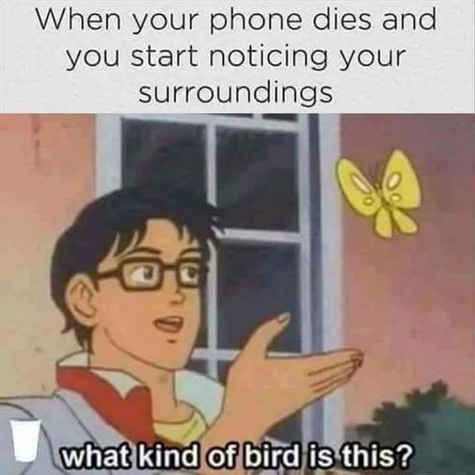 📱 ☎️ How well is your connection 👀?