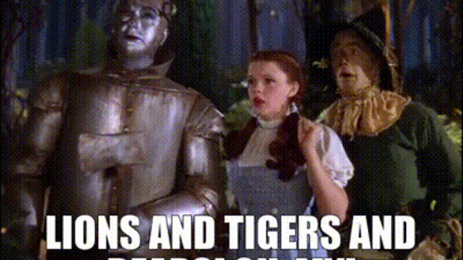 Who wins in a fight between a lion, tiger, bear, and gorilla?