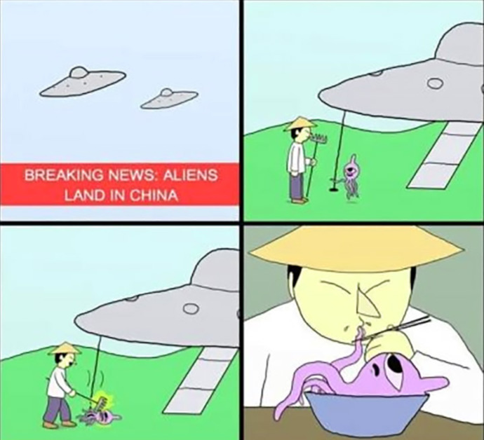 Why do Chinese people eat so many different things?