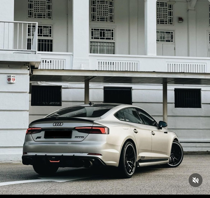Which whip should I buy 26yo?