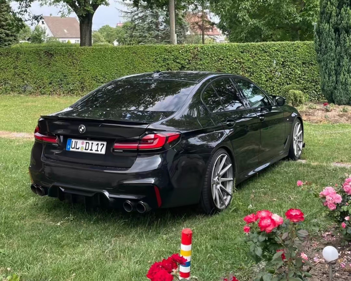 Which whip should I buy 26yo?