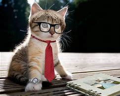 Why do guys dislike girls with glasses?