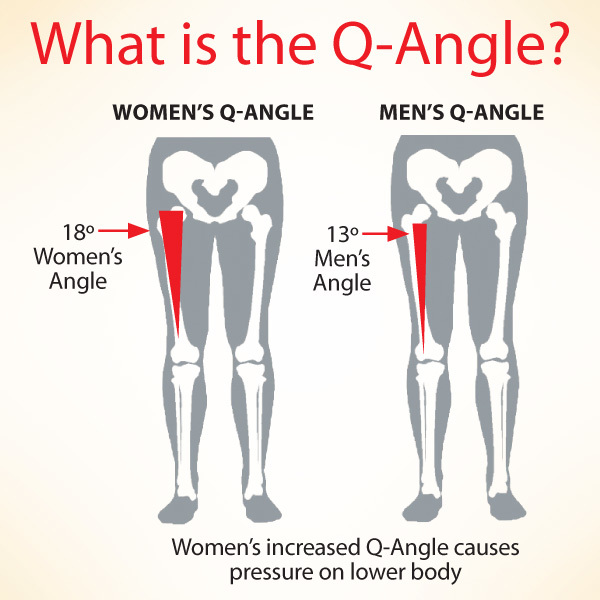 What makes a woman's legs more attractive than a man's legs?