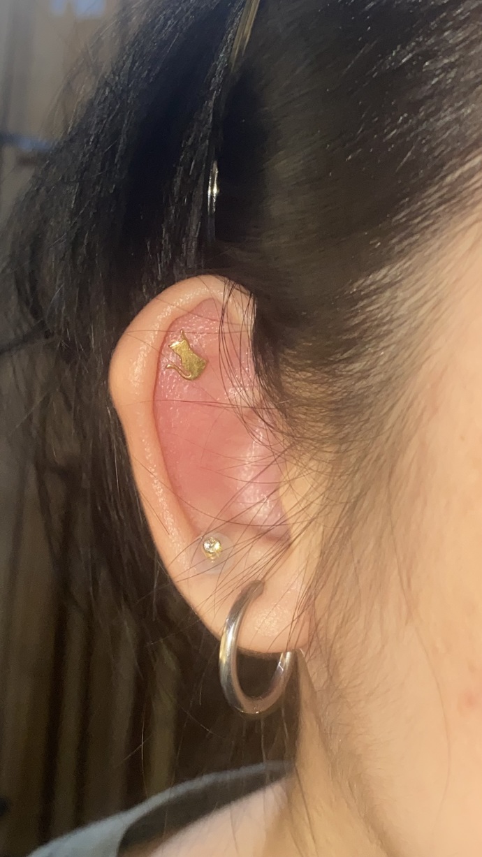 Which piercing should I get next to complement my current piercings? Gold/silver jewelry which suits me better? Or should I mix them?