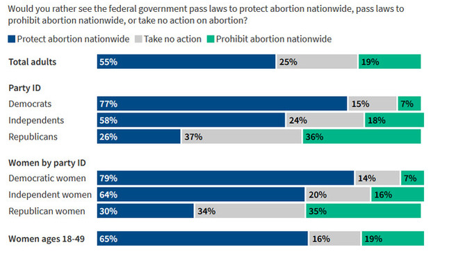 Isn't it funny how republicans think banning abortion is a winning issue for them electorally?