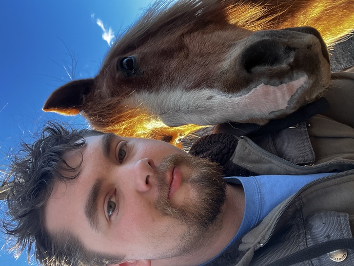 Do you like horses?