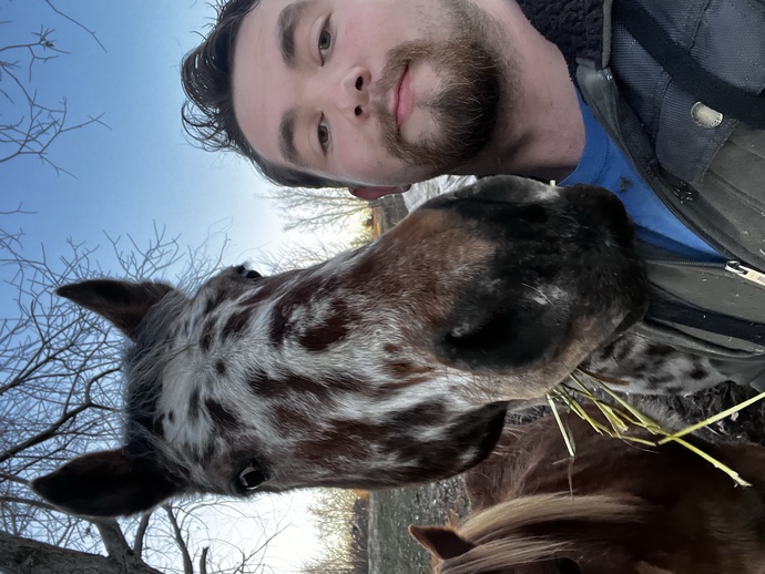 Do you like horses?