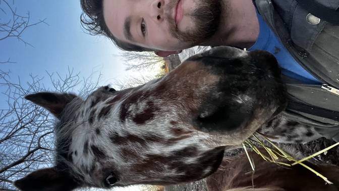 Do you like horses?