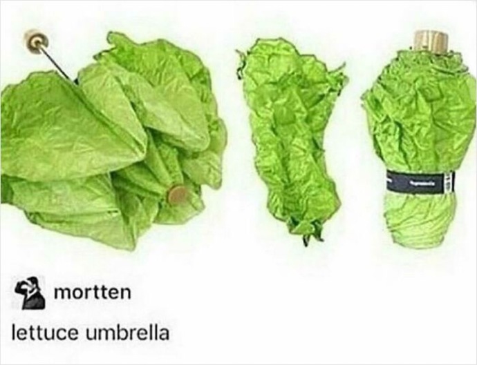 What do you think of this lettuce umbrella?