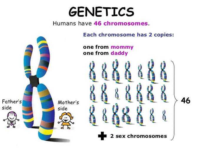 Have you ever considered the viability someone of the opposite sex as your mate based on what you think your kids would look like?