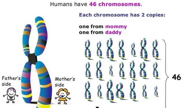 Have you ever considered the viability someone of the opposite sex as your mate based on what you think your kids would look like?