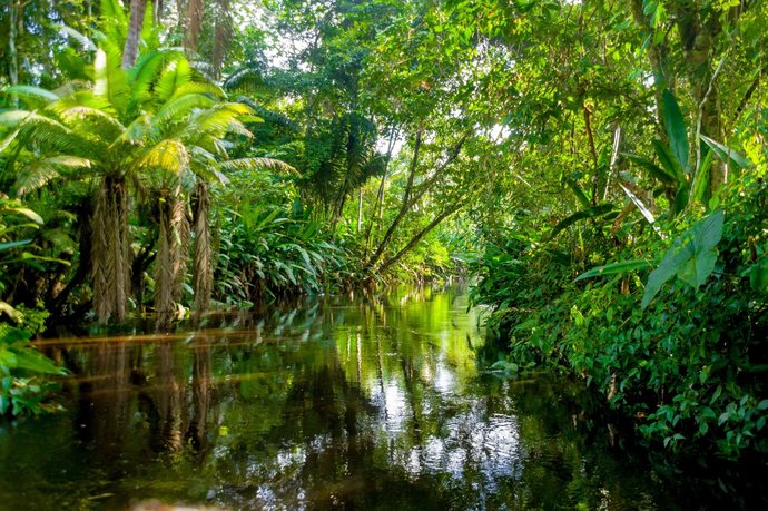 Would you visit the Amazon rainforest?