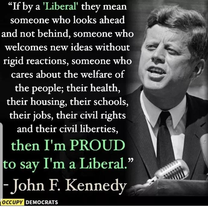 What do you think of this take of liberalism?