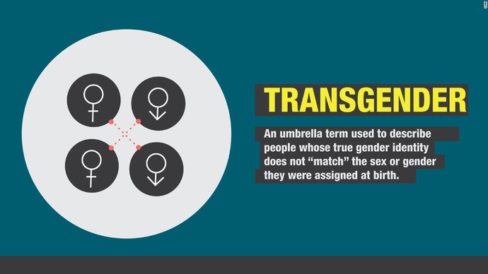 What do you think of The Vaticans comment on Transgender and Surrogacy?