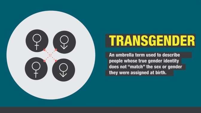 What do you think of The Vatican's comment on Transgender and Surrogacy?