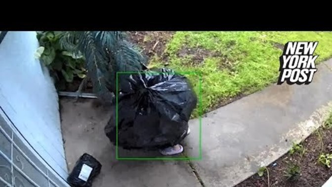 Have you ever been "Porch Pirated?