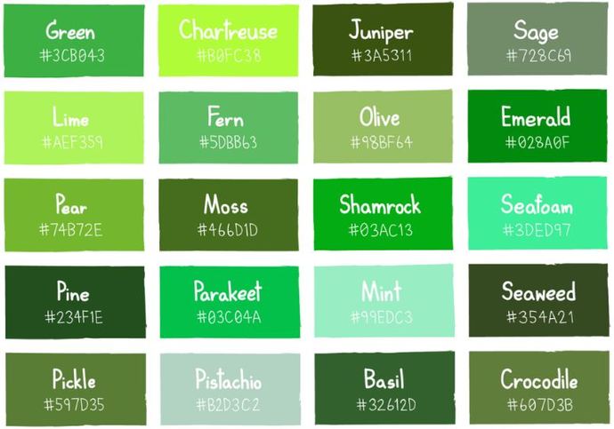 Does anyone here know what type of line the green line is called and what coloured green it might be please?