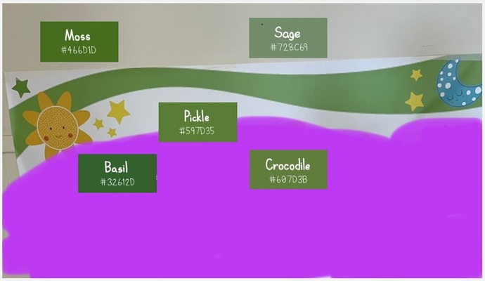 Does anyone here know what type of line the green line is called and what coloured green it might be please?