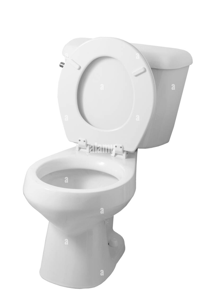 Toilet Seat UP or Seat DOWN?