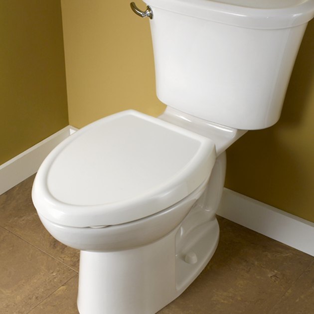 Toilet Seat UP or Seat DOWN?