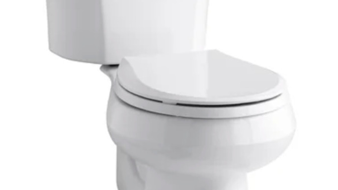 Toilet Seat UP or Seat DOWN?