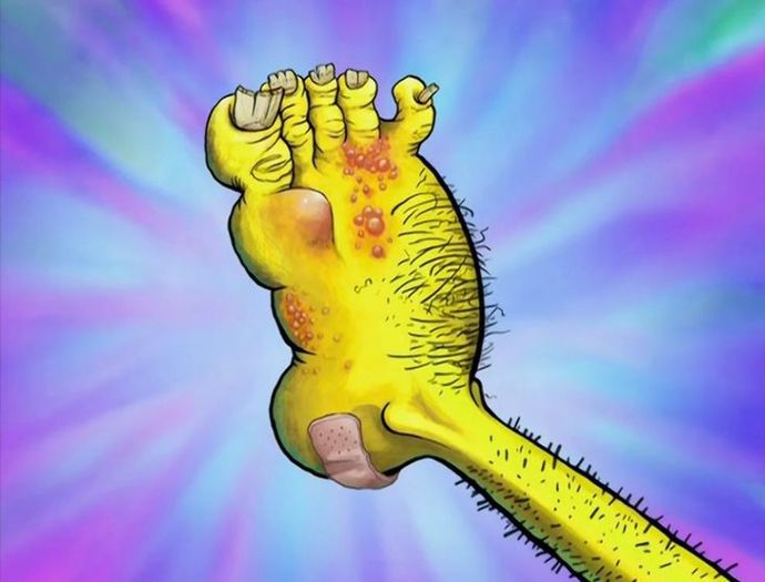 Which animal has the cutest feet?