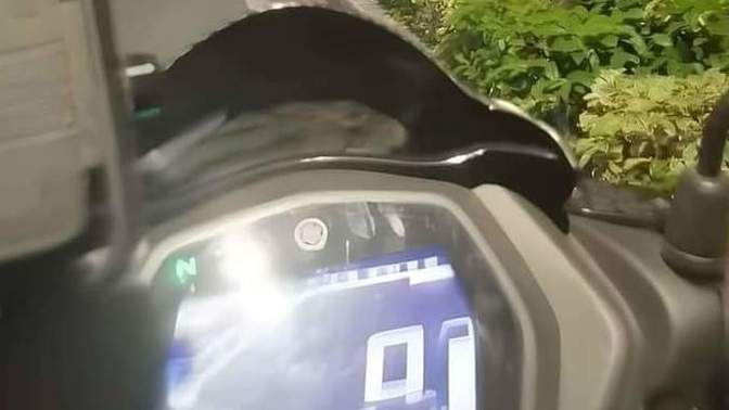 Would you want to meet a ghost 👻?
