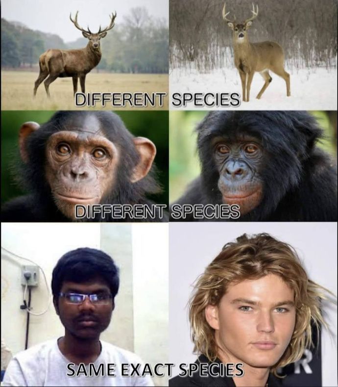 Do you believe ugly is in the eye of the beholder?